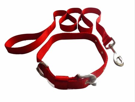 Adidog Dog Collar Set For Discount