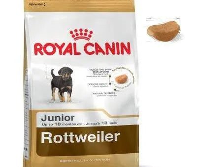 Royal Canin Breed Health Nutrition Rottweiler Junior Dog Food (12 kg) Online now