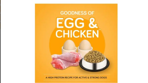 Pedigree Adult Dry Dog Food (High Protein Variant) – Chicken, Egg & Rice, 3 Kg Pack Online Hot Sale