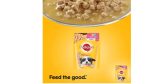 Pedigree Wet Dog Food, Chicken Chunks in Gravy for Puppy – 80g (Pack of 15) Hot on Sale