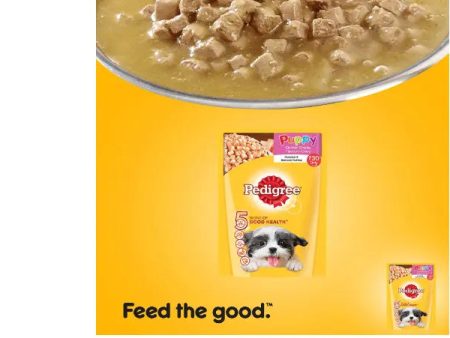 Pedigree Wet Dog Food, Chicken Chunks in Gravy for Puppy – 80g (Pack of 15) Hot on Sale