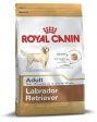 Royal Canin Breed Health Nutrition Labrador Adult Dog Food, 12 kg on Sale