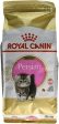 Royal Canin Persian Kitten 2 kg For Cheap