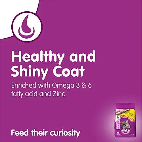 Whiskas Dry Cat Food, Chicken for Adult cats, 1.2 kg Discount