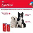 Drools Absolute Calcium Syrup- Dog Supplement, 300ml Online Sale