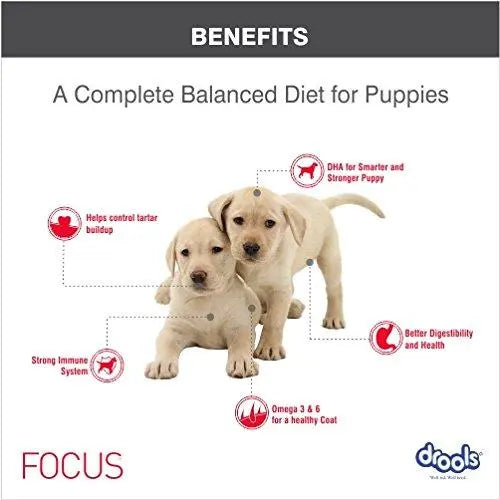 Drools Focus Puppy Super Premium Dog Food, 12kg Hot on Sale