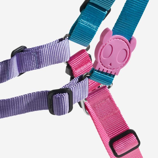 Zee.Dog Soft-Walk Dog Harness (Aurora) Supply