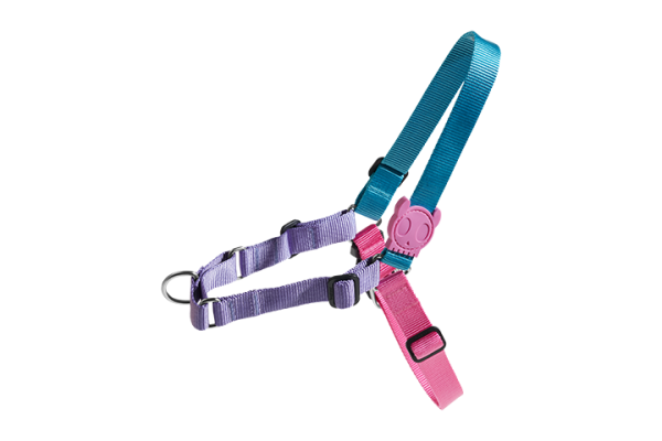 Zee.Dog Soft-Walk Dog Harness (Aurora) Supply