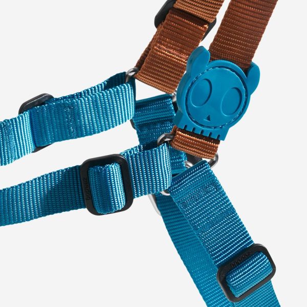 Zee.Dog Soft-Walk Dog Harness (Delta) Online Sale