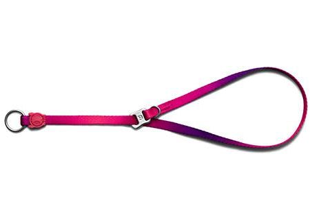 Zee.Dog Obedience Slip Dog Collar (Juno) Online