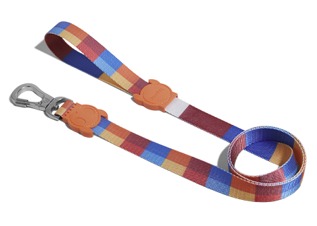 Zee.Dog Dog Leash (Parker) For Sale