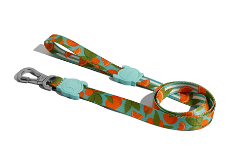 Zee.Dog Dog Leash (Florida) Discount