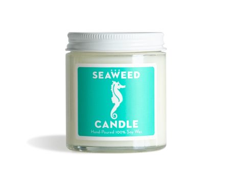 Swedish Dream® Seaweed Candle Cutie Online