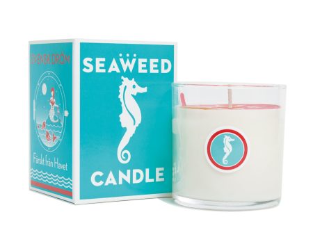 Swedish Dream® Seaweed Candle Online Hot Sale